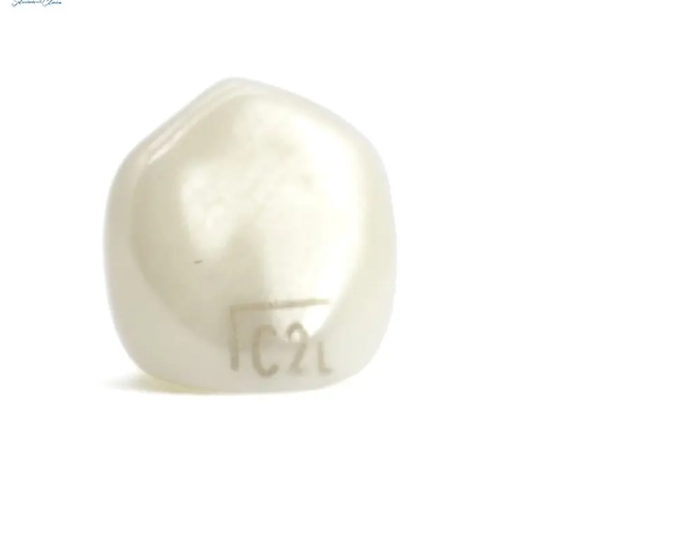 Tienda DDC - NuSmile - ODONTOPEDIATRIA - Coronas Zirconia NuSmile Canino Infantil de PRUEBA | TiendaDDC.com