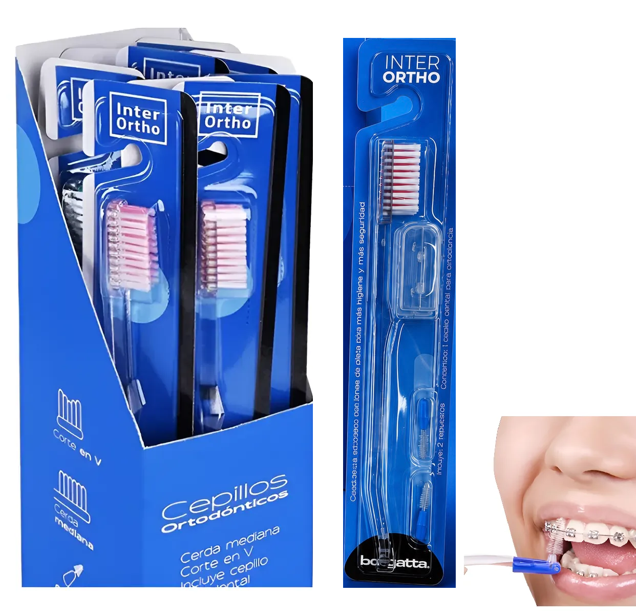 7506185928489 - BORGATTA - CEPILLOS INTER ORTHO Borgatta Ortodoncia Caja Master 8 pzas 96 cepillos | TiendaDDC.com