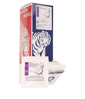 Ligas Ortodónticas American Ortodhontic Ao Caja 100pz